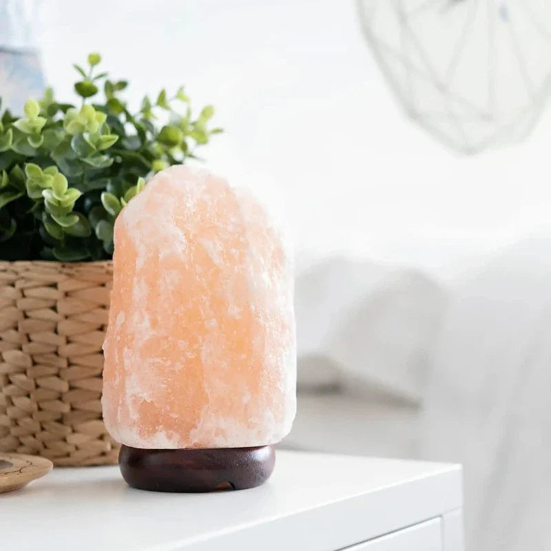 ShellRadiance Crystal Lamp – Elegant Glass Light with Wooden Base for Cozy Home Décor